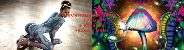 твердый Лиски