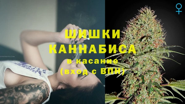 твердый Лиски