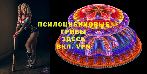 твердый Лиски