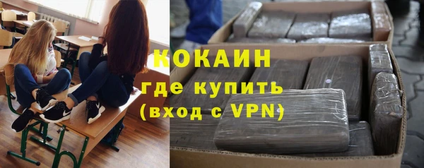 твердый Лиски