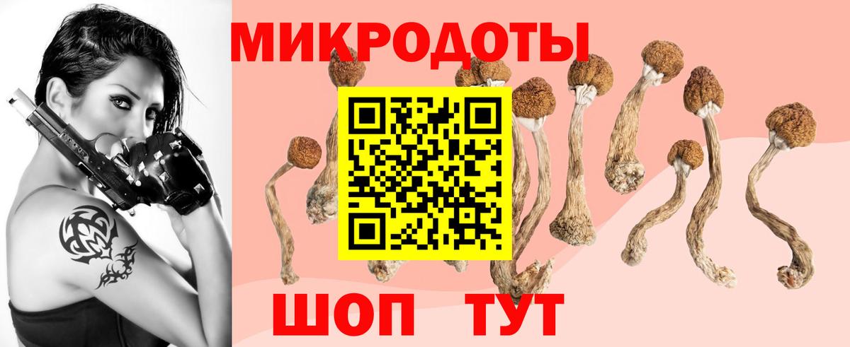 Галлюциногенные грибы Cubensis Нововоронеж