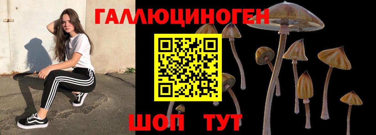 Нововоронеж  Галлюциногенные грибы ЛСД  Вход с VPN  Галлюциногенные грибы Psilocybe 